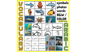 Arabic Vocabulary Match to Sample Memory Boards SEA ANIMALS