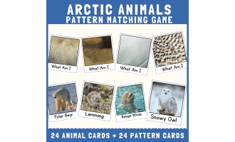 Arctic animal skin fur pattern matching cut match science activities