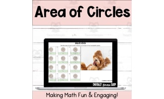 Area of Circles Digital Self-Checking Activity