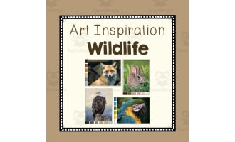 Art Inspiration: Wildlife Photos