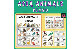 Asian Wild Wonders Bingo