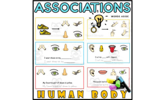 Association Task Cards Body