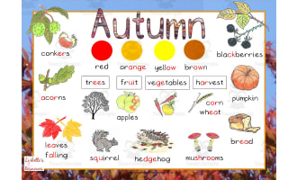 Autumn Word Mat Phonetically Coded