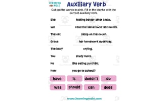 Auxiliary Verb Activity