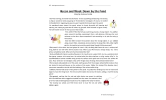 Bacon and Wool: Down by the Pond - Reading Comprehension Worksheet