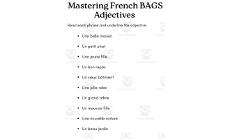 bags adjectives french exercises worksheet with answers
