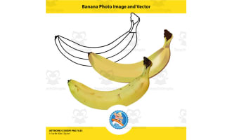 Banana Photo Image and Vector