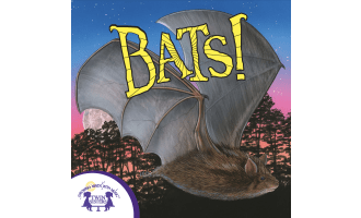 Bats eBook- Know-It-Alls!