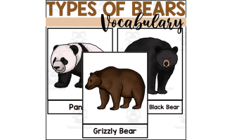 Bear Vocabulary Words - Types of Bears