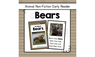 Bears Informational Book | Nonfiction Early Reader Animal Booklet