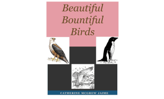 Beautiful Bountiful Birds