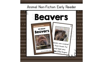Beavers Informational Book | Nonfiction Early Reader Animal Booklet