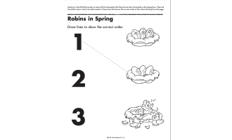 Beginning Reading Printable Workbook for Preschool