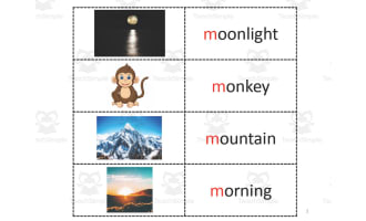 Beginning Sounds Match Cards | Letters M-S