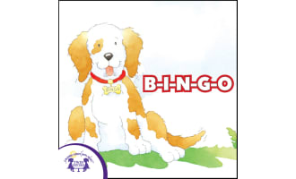 BINGO Songs