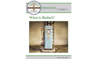 Biofuel, Fossil Fuel Alternative: Environment Lesson Plan, Worksheet, Google App