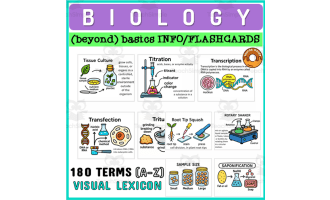 Biology Terms Info Flashcards Catalog