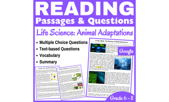 Bioluminescence & Insects : Reading Comprehension passages (Docs)