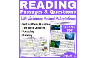 Bioluminescence and Insects : Science Reading passages (FILLABLE PDF)