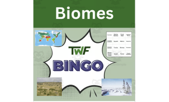 Biomes Science BINGO Activity