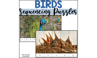 Bird Alphabet and Number Sequencing Puzzles