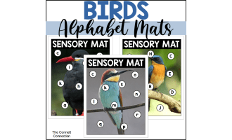 Bird Alphabet Sensory Bin Mats