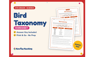 Bird Taxonomy Worksheet – 5th Grade Animals & Classification Practice