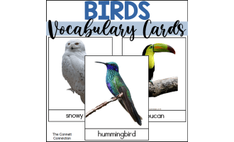 Bird Vocabulary Words