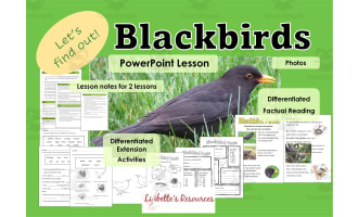 Blackbirds: Kindergarten Science Project: Science Outline