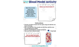 Blood Model Activity