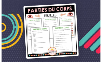 Body Parts Worksheets in French