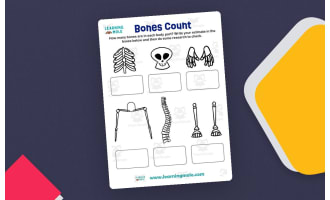 Bones Count Activity – Skeletal System Worksheet