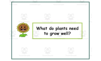 Botany: What Plants Need to Grow