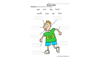 Boy Body Parts Worksheet