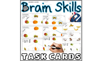Brain Task Cards Same Different