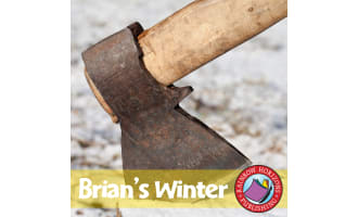 Brian's Winter (Novel Study) Gr. 4-7