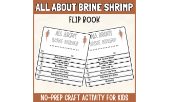 Brine Shrimp Flipbook craft Animal Science Study writing prompt