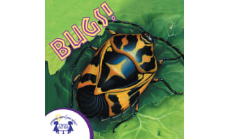 Bugs Know-It-Alls! Audio Book