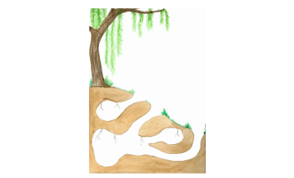 Bunny Burrow | Rabbit Activity
