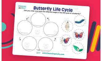 Butterfly Life Cycle – Hands-On Activity Pack
