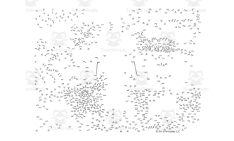 Butterfly Life Cycle Dot-to-Dot PDF