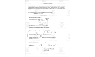 Calculating Productivity