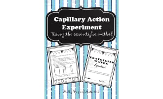 Capillary Action Experiment