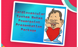 Cardiovascular System | PowerPoint Presentation