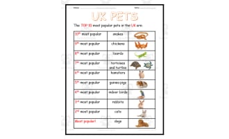 Caring for Pets Packet