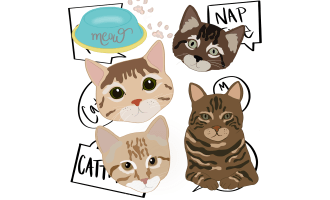 Cat Clips