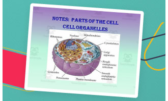 Cell Organelle PowerPoint Presentation