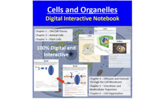 Cells and Organelles – Digital Interactive Notebook