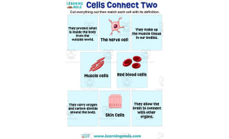 Cells Connect Two Activity