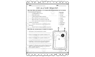 Cells + Their Organelles Reading Activity